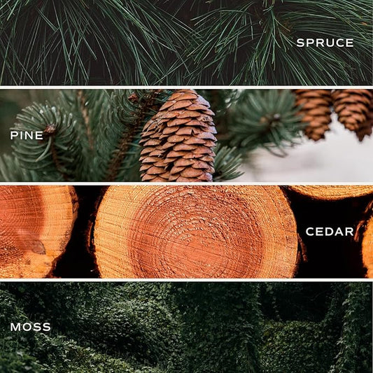 Sweet Water Decor Christmas Tree Soy Candle - Pine Needles, Cedarwood, Cypress, and Evergreen Holiday Scented Candles for Home - 11oz White Jar + Wood Lid, 50+ Hour Burn Time, Made in The USA