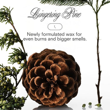 Boy Smells XXMAS Tree Candle – Holiday Soy Candle with Juniper, Evergreen & Winter Air – Fresh Pine Scented Candle for Home Décor & Christmas Gifting – 8.5oz