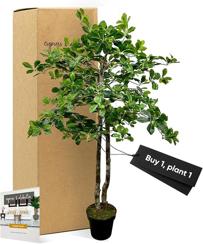 Cypress & Alabaster Handmade 4ft Italian Black Olive Leaf Artificial Tree with Ethically Sourced Real Wood Trunks, Hypoallergenic, 4-Foot, Green