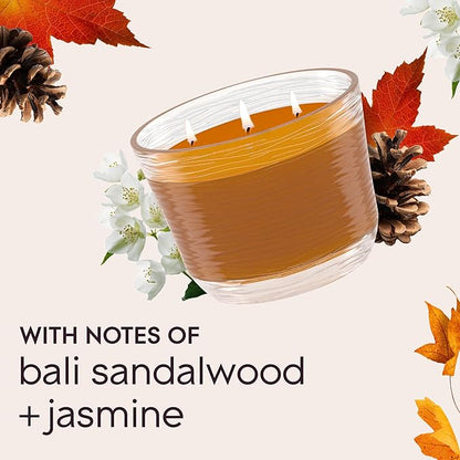 Glade Cashmere Woods, Fragrance Candle Infused with Essential Oils, Air Freshener, 3-Wick Candle, 6.8 Oz, 3 Count