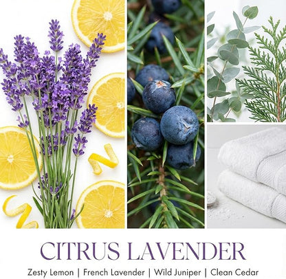 HomeLights Citrus Lavender Scented Candles | 6.7oz Soy Candles Scandinavian Minimalist Design Large Candle Jars | Ideal Candle Gifts for Events, Home Decor Stress, Relief & Relaxation