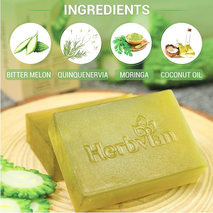 2 PCS Bitter Melon Moringa with Natural Tea Tree Oil Soap Bar for Back Acne, Anti Bacterial Momordica Charantia Body Soap, Anti-Acne, Herbal Cleansing with Melaleuca Quinquenervia Oil