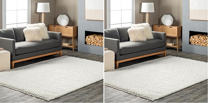 nuLOOM Neva Modern Tasseled Shag Accent Rug, 2x3, Ivory (Pack of 2)