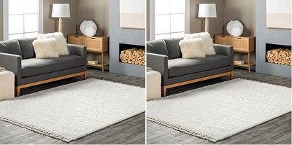 nuLOOM Neva Modern Tasseled Shag Accent Rug, 2x3, Ivory (Pack of 2)