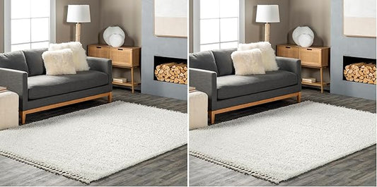 nuLOOM Neva Modern Tasseled Shag Accent Rug, 2x3, Ivory (Pack of 2)