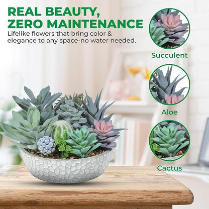 Premium Assorted Artificial Succulent Collection - Large Real Touch Artificial Cactus, Aloe Vera & Succulent Plants Artificial with Pots for Home Office Indoor (Artificial Glass - Pot)