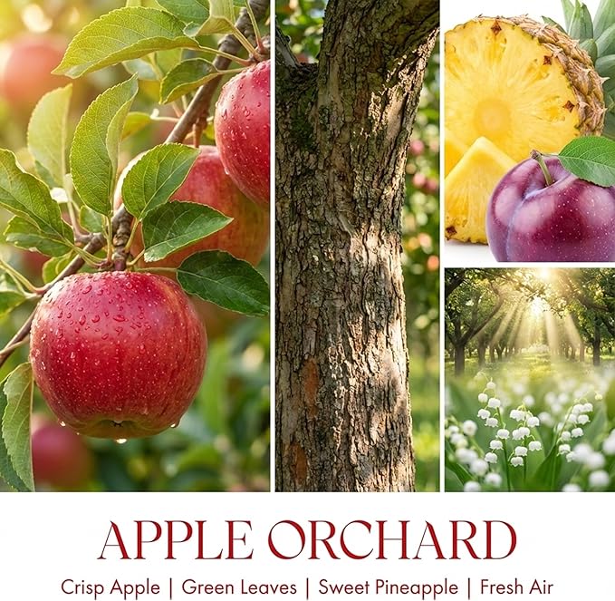 HomeLights Soy Wax Candles for Home Scented, 4-Wick Candles in Apple Orchard Scented, Aromatherapy Candles Gift for Parties, Relaxing, Eclectic Mixed Styles, 18oz