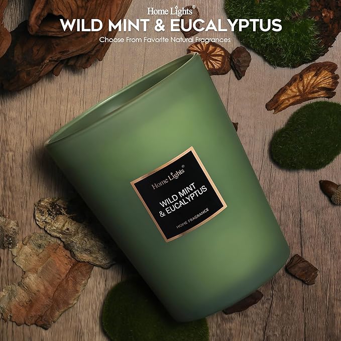 HomeLights Scented Candles - Large Jar Aromatherapy, Natural Soy Wax, 130 Hour Long Burning, Wild Mint & Eucalyptus
