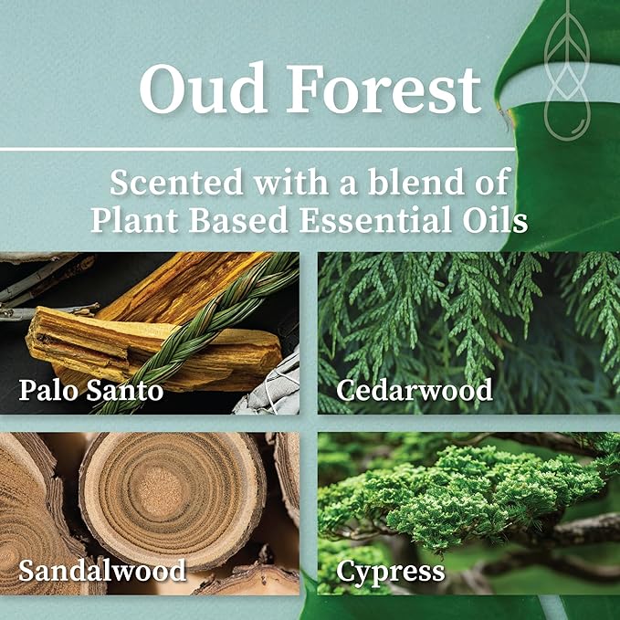 Hemlock Park Amber & Gold Wood Wick Candle Handcrafted with Natural Coconut Wax (Standard 7.2 oz, Oud Forest)