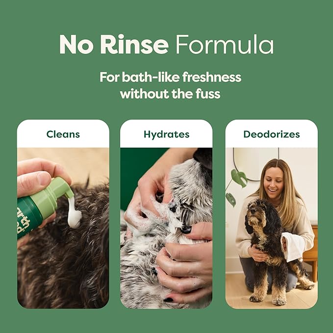 Earth Rated Deodorizing Conditioner Spray (No-Rinse Shampoo)