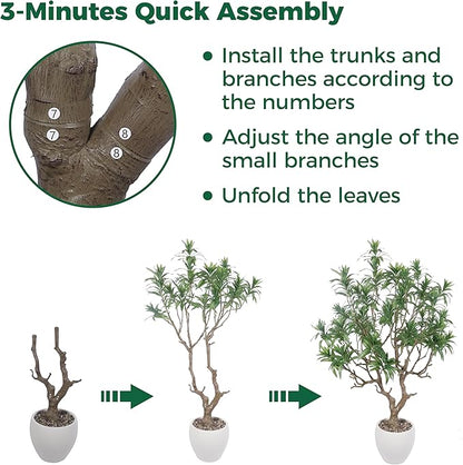 7 Feet Artificial Dracaena Reflexa, Large Faux Tree with White Pot, Tall Dracaena Tree, Fake Plants for Home & Office Decor, Realistic Wood Trunk and Lifelike Leaves