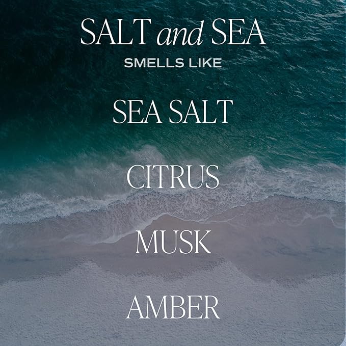 Sweet Water Decor Salt and Sea Reed Diffuser Set - Sea Salt, Citrus, Musk, and Amber Summer Scented Diffuser - Scent Diffusers for Home, Long Lasting Fragrance, Made in The USA