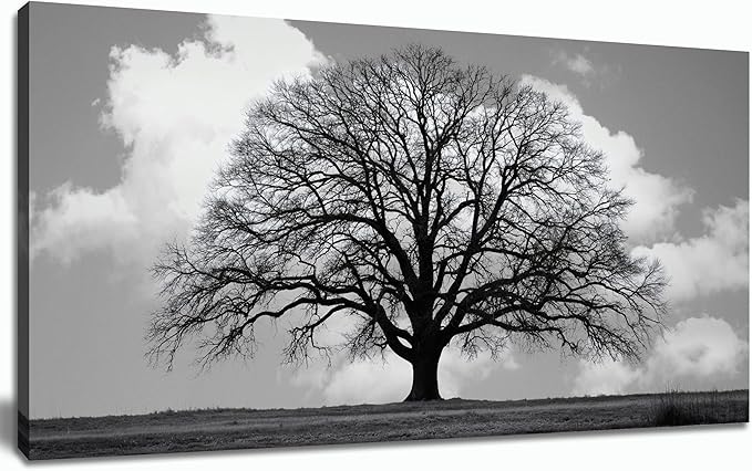 Trogonup Black and White Tree of Life Wall Art for Bedroom Modern Botanical Landscape Pictures for Living Room Office Canvas Prints Ready to Hang 20"x40"