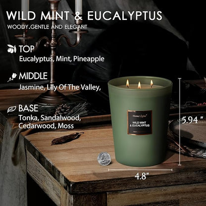 HomeLights Scented Candles - Large Jar Aromatherapy, Natural Soy Wax, 130 Hour Long Burning, Wild Mint & Eucalyptus