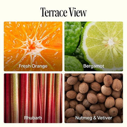 Preston Lane Luxury Hand Wash, Terrace View Scent – Hydrating & Nourishing Formula with Organic Oils, Active Kiwi & Apple Water, and Vegetable Glycerin | Gentle Cleansing, Vegan & Cruelty-Free