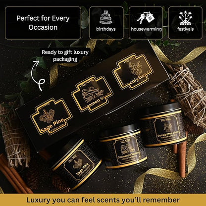 Candle Gift Set Of 3 Sage Pine|Cinnamon Vanilla|Eucalyptus Lime Highly Scented Soy Candels Clean Non Toxic Velas Aromáticas Favors For Women Coworkers Friends Guests Also For Diwali Christmas Holidays