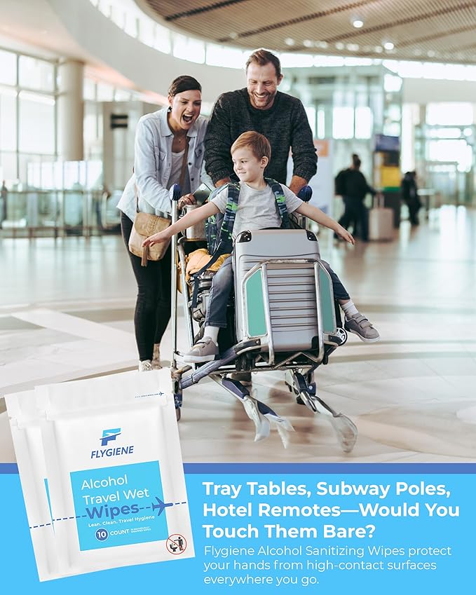 Travel Sanitizing Wipes (20)