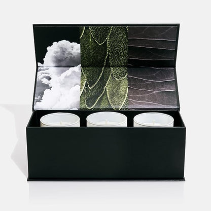 Lake & Skye Mini Votive 3 Piece Candle Set - Includes 11 11, Wild Grass & Sage, and Santal Gray - 1.85 oz Each