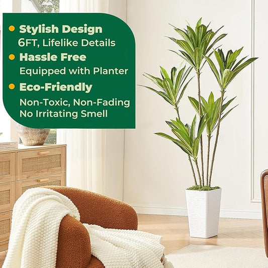 6FT Artificial Dracaena Tree with White Planter and Fake Moss - Real Touch Faux Plant for Home & Office Decor, Lifelike Yucca Indoor Realistic Floor Tree, Lightweight Potted Plants