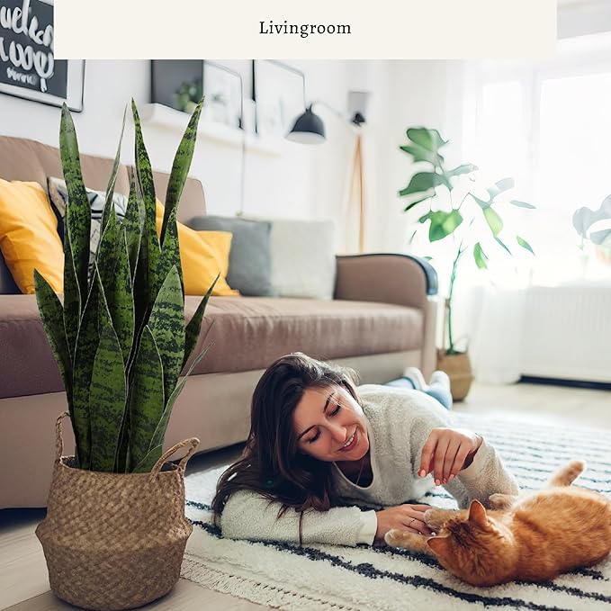 KOL 25.6'' Artificial Snake Plant Sansevieria Indoor, 32 Leaves Lifelike Faux Plants, Home Garden Decoration Mother in Law Tongue 2ft, Fake Potted Houseplant, Green