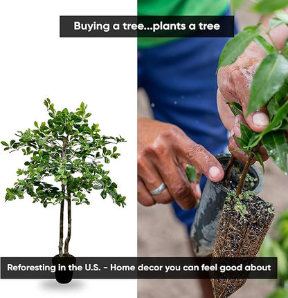 Cypress & Alabaster Handmade 4ft Italian Black Olive Leaf Artificial Tree with Ethically Sourced Real Wood Trunks, Hypoallergenic, 4-Foot, Green