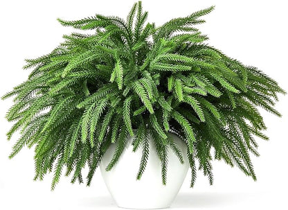 16 Pcs Norfolk Pine Stems, 19" Long Artificial Christmas Norfolk Pine Branches, Faux Greenery Stems, Real Touch Christmas Green Plants Branches for Vases, DIY Wreath, Xmas Home Decorations
