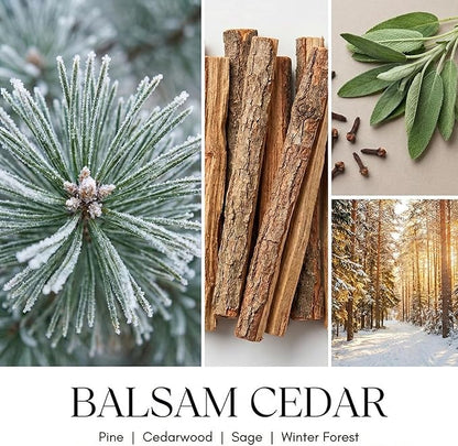 HomeLights Balsam Cedarwood Scented Candles | 18oz Soy Candles Industrial Chic 4-Wick Large Candle Jars | Ideal Candle Gifts for Events, Home Decor Stress, Relief & Relaxation