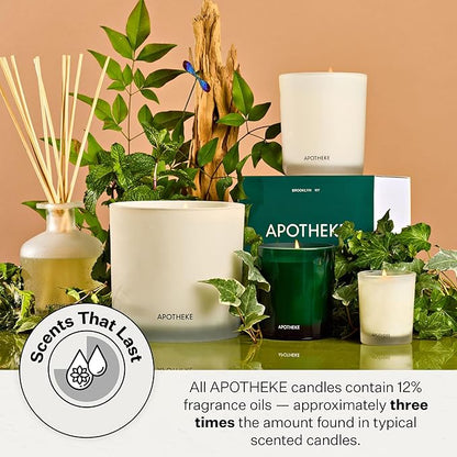 Apotheke Luxury Scented Candles for Home, Wild Mint & Ivy - Petite Aromatherapy Jar Candle with Soy Wax Blend