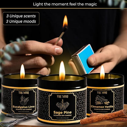 Candle Gift Set Of 3 Sage Pine|Cinnamon Vanilla|Eucalyptus Lime Highly Scented Soy Candels Clean Non Toxic Velas Aromáticas Favors For Women Coworkers Friends Guests Also For Diwali Christmas Holidays
