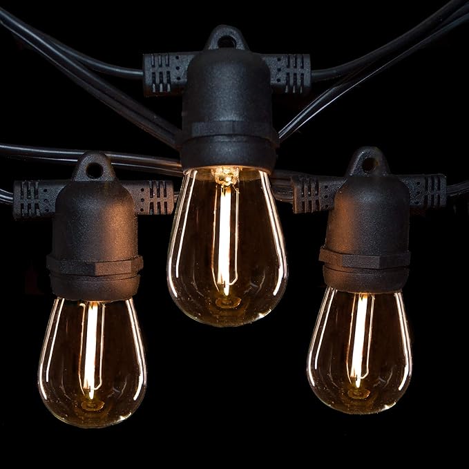 Hometown Evolution, Inc. 100' E26 Commercial LED Outdoor String Lights (100 Foot 50 Socket, S14 LED Filament 1 Watt Light Bulbs)