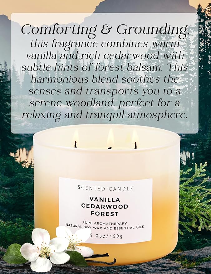 Vanilla Cedarwood Forest 3-Wick Soy Scented Candle, 15.8 oz | Warm Vanilla Woods Candle with Cedar, Balsam, Clove & Jasmine | Winter Aromatherapy Candle for Home, Clean Burning