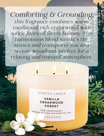 Vanilla Cedarwood Forest 3-Wick Soy Scented Candle, 15.8 oz | Warm Vanilla Woods Candle with Cedar, Balsam, Clove & Jasmine | Winter Aromatherapy Candle for Home, Clean Burning