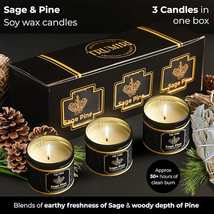 Sage & Pine Candle Strong Scented Soy Candel Natural Non Toxic Velas Aromáticas for Home Gift for Fall Christmas Holidays Pack of 3 5Oz Decorative Tin Jars with Lids
