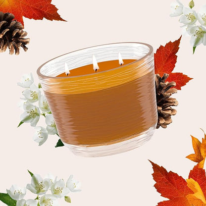 Glade Cashmere Woods, Fragrance Candle Infused with Essential Oils, Air Freshener, 3-Wick Candle, 6.8 Oz, 3 Count