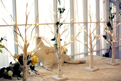 EAMBRITE Home Decorations Light Up White Birch Tree Indoor Christmas Decor, 4 Pack Battery Operated/USB Lighted Tabletop Money Tree Lamp Led Lights Easter Wedding Centerpiece Table Room (2 Ft)