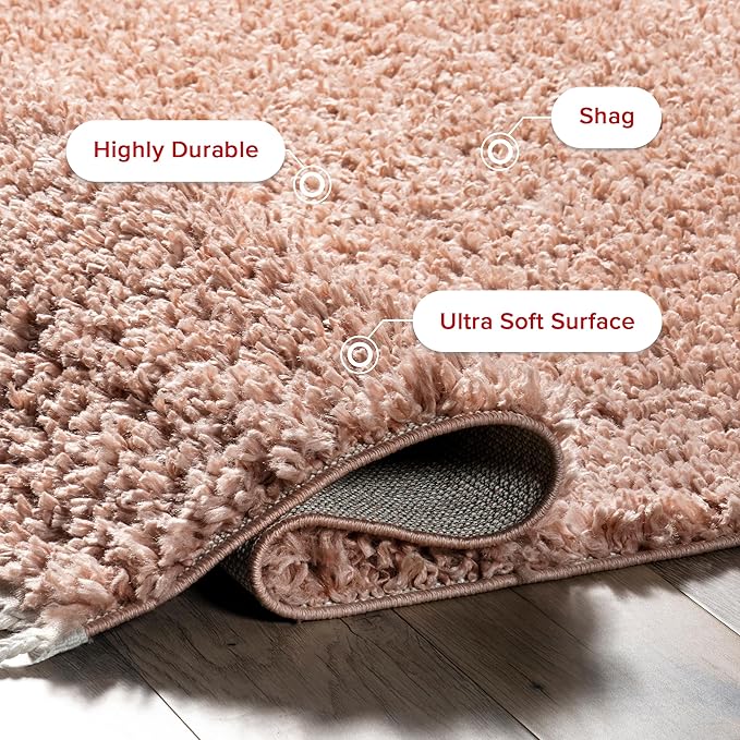 nuLOOM Neva Modern Tasseled Shag Area Rug, 3x5, Pink