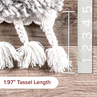 nuLOOM Neva Modern Tasseled Shag Area Rug, 9x12, Grey