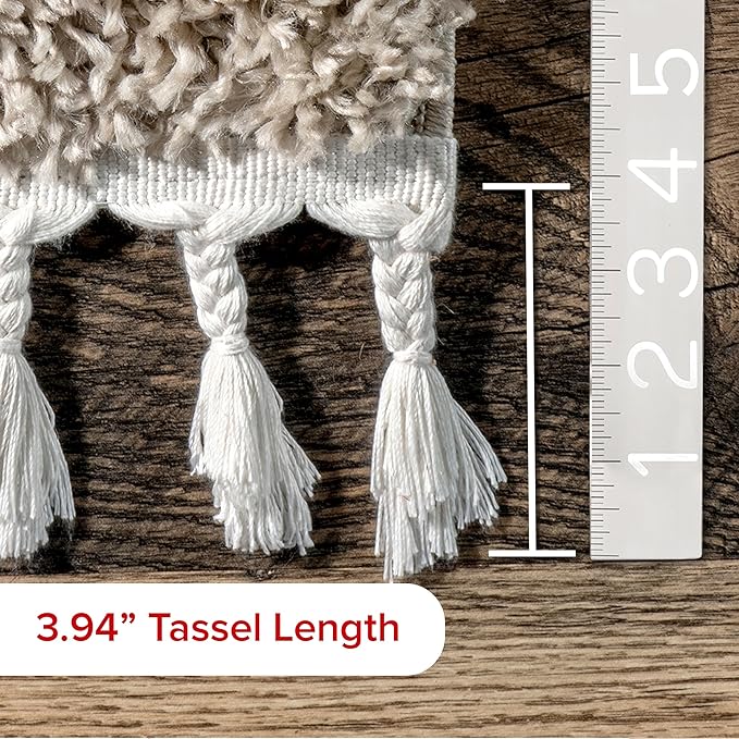 nuLOOM Neva Modern Tasseled Shag Accent Rug, 2x3, Beige