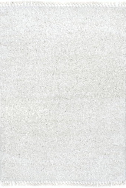 nuLOOM Neva Modern Tasseled Shag Accent Rug, 2x3, Ivory (Pack of 2)