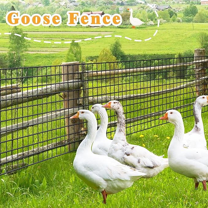 Black Metal Garden Fence, 60inch(H) x 100ft(L), 2 inch x 4 inch,12.5GA 2/3/4/5/6 Ft Tall Chicken Wire PVC Coated Welded Wire Mesh Roll for Dogs Border Yard Vegetable Plant Protection Poultry Netting