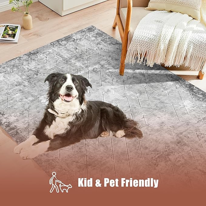 3' x 5 ' Washable Area Rug - Low Pile Soft Vintage Indoor Rug for Living, Dining or Bedroom - Lightweight Carpet with Non-Slip Backing - Foldable for Easy Placement, Grey