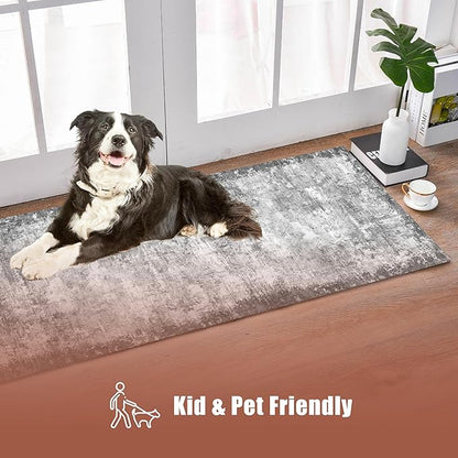 2'6'' x 8' Washable Area Rug - Low Pile Soft Vintage Indoor Rug for Living, Dining or Bedroom - Lightweight Carpet with Non-Slip Backing - Foldable for Easy Placement, Grey