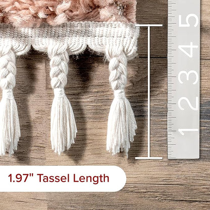 nuLOOM Neva Modern Tasseled Shag Area Rug, 3x5, Pink
