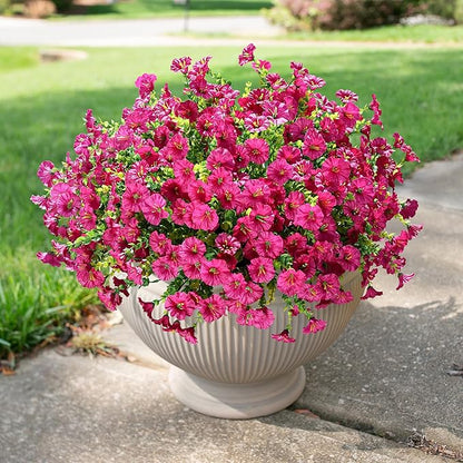 Artificial Flowers for Outdoors Fake Plants, 12 Bundles Faux Fuchsia Morning Glory UV Resistant Look Real Silk Flowers for Outside Planter Front Door Porch Patio Yard Fall Autumn Decoration