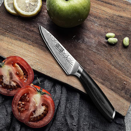 Paring Knife 3.75 Inch, High Carbon Powder Steel Forged Small Kitchen Knives, Razor Sharp Japanese Fruit Knife with Ergonomic Pakkawood Handle