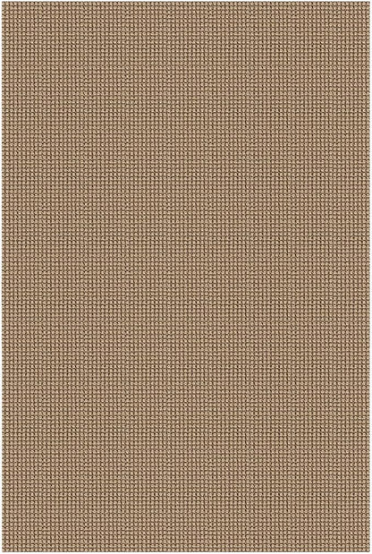 EARTHALL Woven Area Rug 3x5 Ft Washable Rugs for Entryway Braided Non Slip Rubber Backed Throw Rugs Door Mat Indoor Outdoor Entrance Cotton Carpet for Kitchen Foyer Front Door, Orange/Tan/Brown