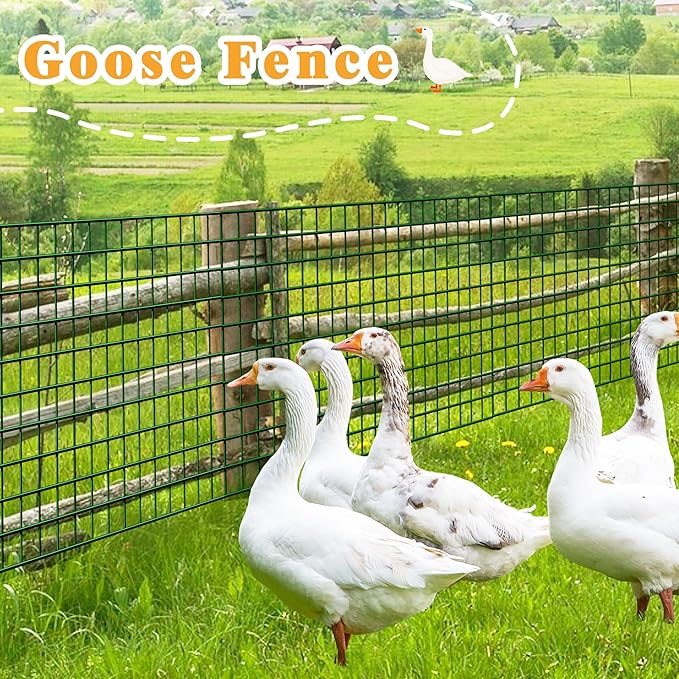 Green Metal Garden Fence, 48inch(H) x 50ft(L), 2 inch x 3 inch,14GA 2/3/4/5/6 Ft Tall Chicken Wire PVC Coated Welded Wire Mesh Roll for Dogs Border Yard Vegetable Plant Protection Poultry Netting