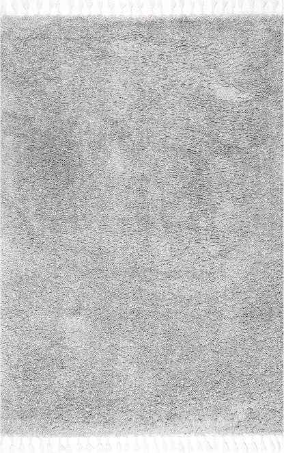 nuLOOM Neva Modern Tasseled Shag Accent Rug, 2x3, Grey