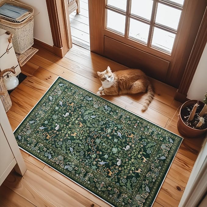 2x3 Washable Rugs for Entryway Indoor: Small Area Rug Door Mat Entrance Non-Slip Low Pile Soft Throw Rug for Kitchen Front Door Indoor Entrance Bedside Entry Kids Room