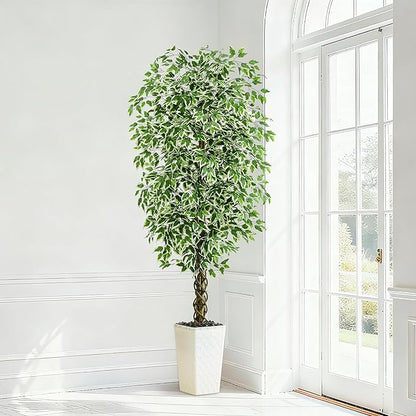 Artificial Ficus Tree (1, Crack-White, 6FT)